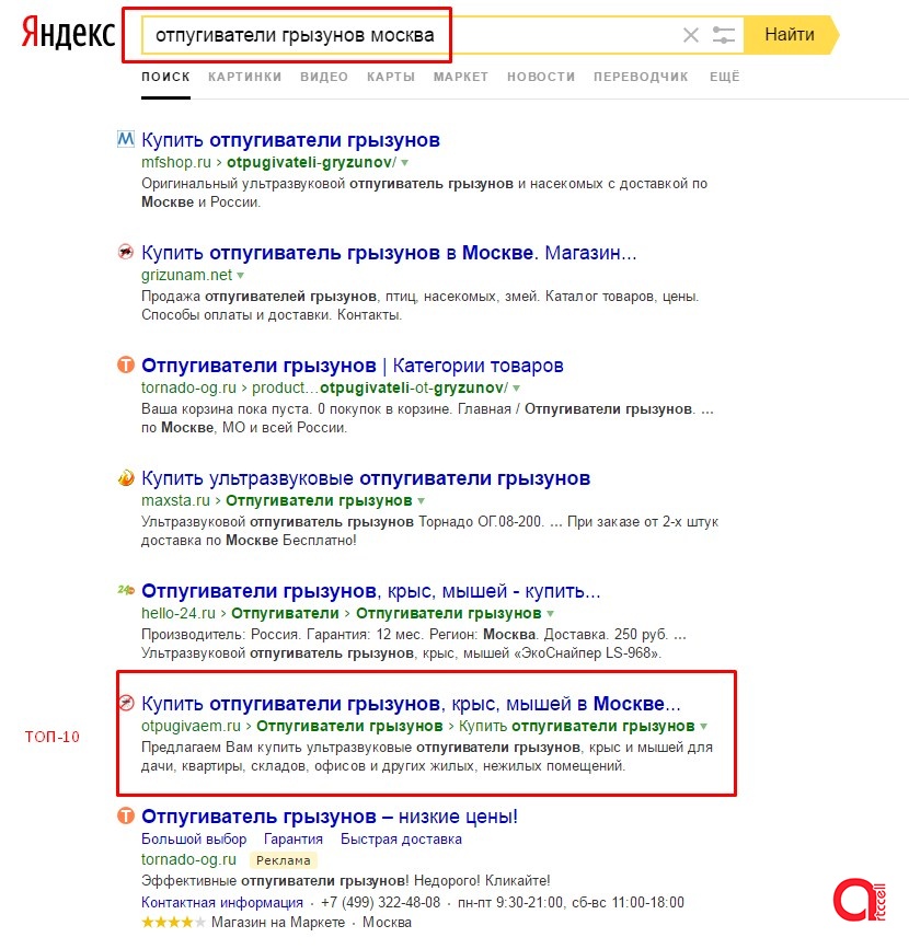 Продвижение сайта отпугивателей "Отпугиваем.ру" 1